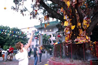 Wishing Trees Wishing Trees